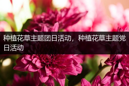 种植花草主题团日活动，种植花草主题党日活动