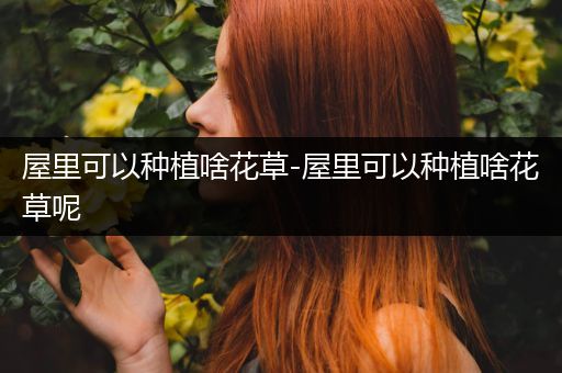 屋里可以种植啥花草-屋里可以种植啥花草呢