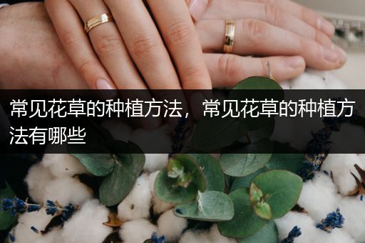 常见花草的种植方法，常见花草的种植方法有哪些