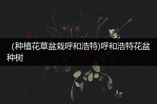 （种植花草盆栽呼和浩特)呼和浩特花盆种树