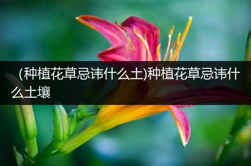 （种植花草忌讳什么土)种植花草忌讳什么土壤