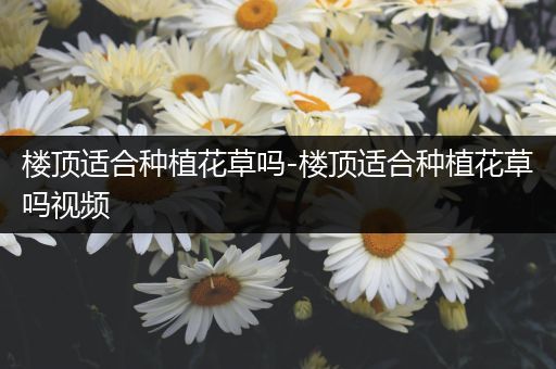 楼顶适合种植花草吗-楼顶适合种植花草吗视频