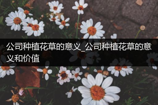 公司种植花草的意义_公司种植花草的意义和价值