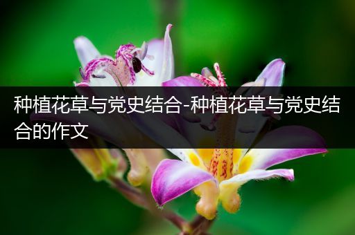 种植花草与党史结合-种植花草与党史结合的作文
