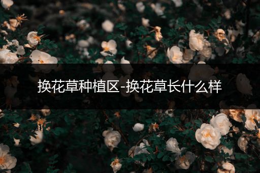 换花草种植区-换花草长什么样