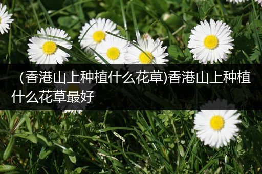（香港山上种植什么花草)香港山上种植什么花草最好
