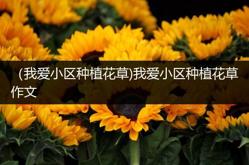 （我爱小区种植花草)我爱小区种植花草作文