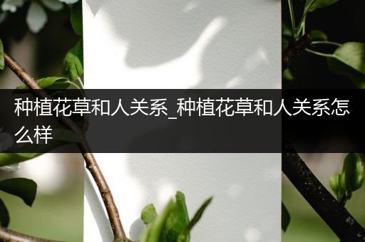 种植花草和人关系_种植花草和人关系怎么样