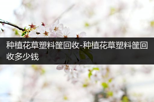 种植花草塑料筐回收-种植花草塑料筐回收多少钱