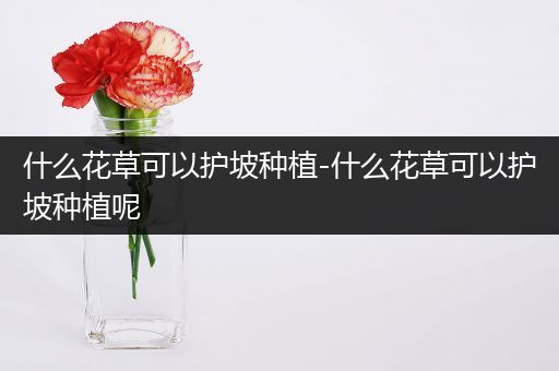 什么花草可以护坡种植-什么花草可以护坡种植呢