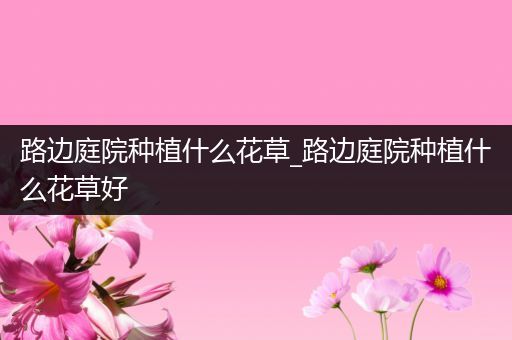 路边庭院种植什么花草_路边庭院种植什么花草好