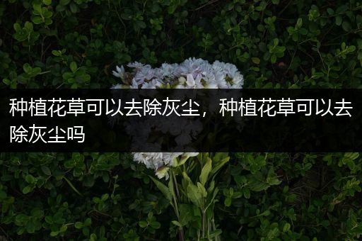 种植花草可以去除灰尘，种植花草可以去除灰尘吗