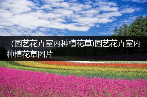 （园艺花卉室内种植花草)园艺花卉室内种植花草图片