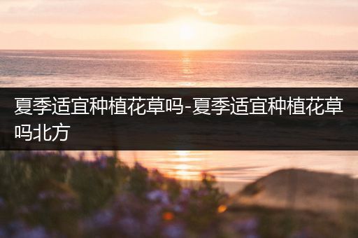 夏季适宜种植花草吗-夏季适宜种植花草吗北方