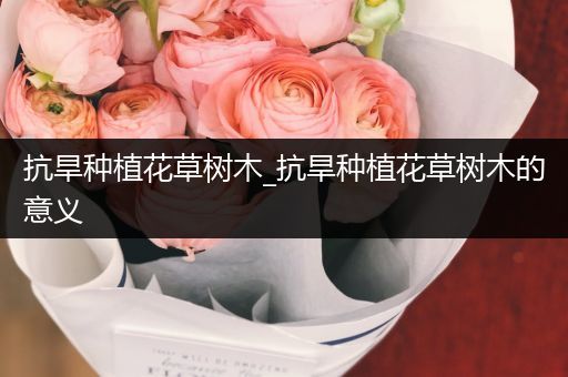 抗旱种植花草树木_抗旱种植花草树木的意义