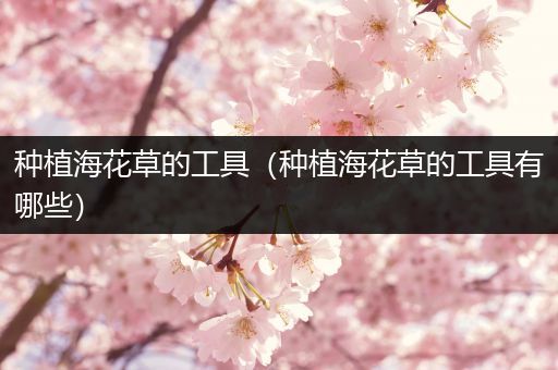 种植海花草的工具（种植海花草的工具有哪些）