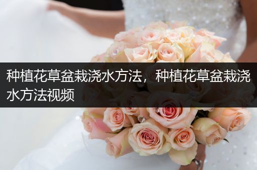种植花草盆栽浇水方法，种植花草盆栽浇水方法视频