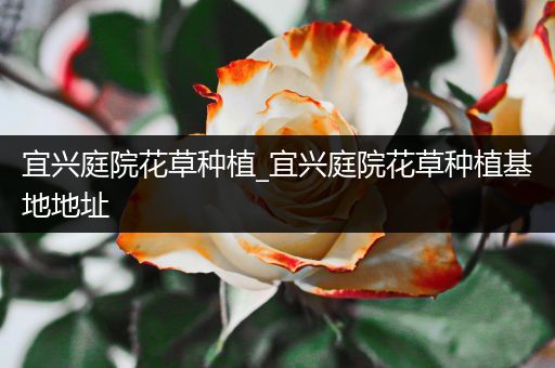 宜兴庭院花草种植_宜兴庭院花草种植基地地址