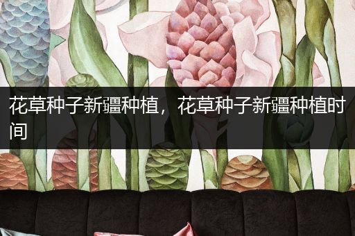花草种子新疆种植，花草种子新疆种植时间
