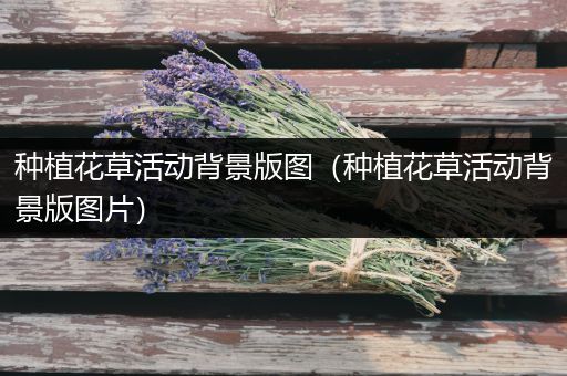 种植花草活动背景版图（种植花草活动背景版图片）