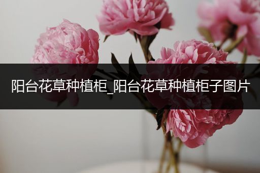 阳台花草种植柜_阳台花草种植柜子图片