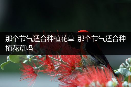 那个节气适合种植花草-那个节气适合种植花草吗