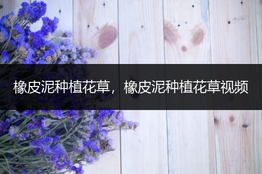 橡皮泥种植花草，橡皮泥种植花草视频