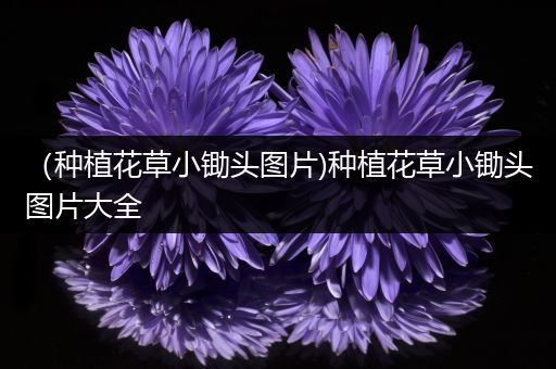 （种植花草小锄头图片)种植花草小锄头图片大全