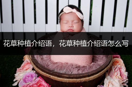 花草种植介绍语，花草种植介绍语怎么写
