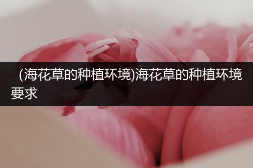 （海花草的种植环境)海花草的种植环境要求