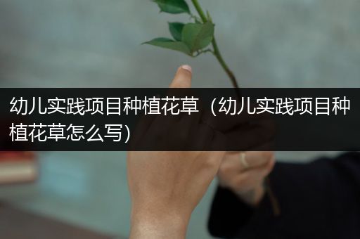 幼儿实践项目种植花草（幼儿实践项目种植花草怎么写）