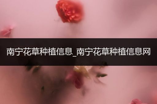 南宁花草种植信息_南宁花草种植信息网