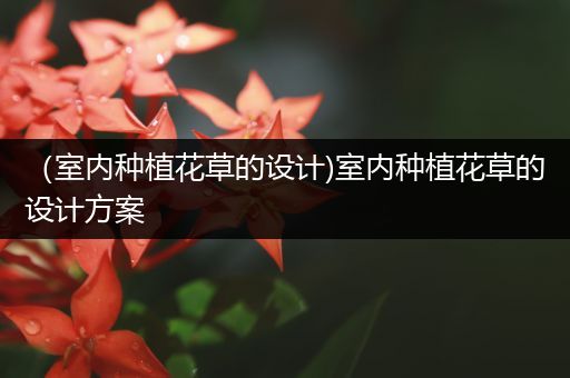 （室内种植花草的设计)室内种植花草的设计方案