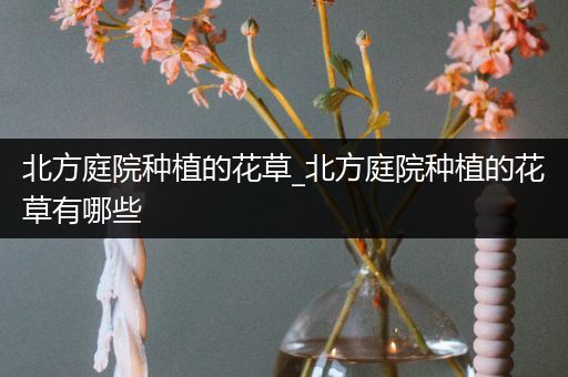 北方庭院种植的花草_北方庭院种植的花草有哪些