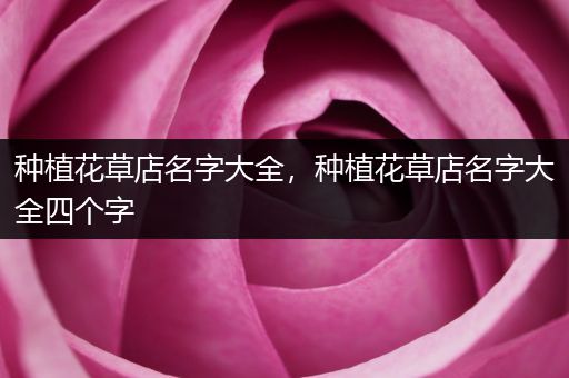 种植花草店名字大全，种植花草店名字大全四个字