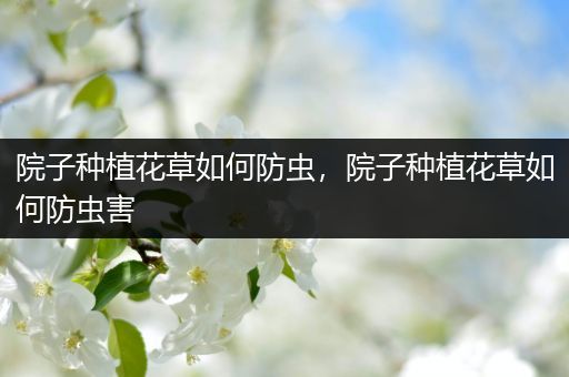 院子种植花草如何防虫，院子种植花草如何防虫害