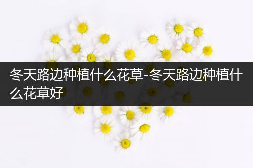 冬天路边种植什么花草-冬天路边种植什么花草好