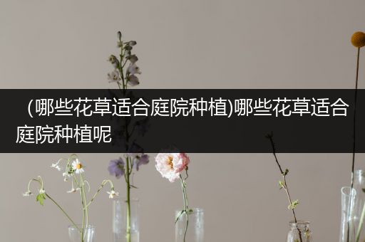 （哪些花草适合庭院种植)哪些花草适合庭院种植呢