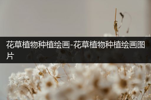花草植物种植绘画-花草植物种植绘画图片