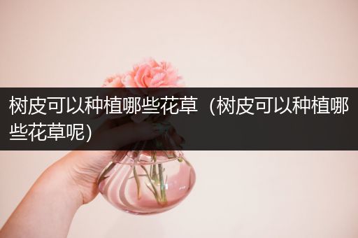 树皮可以种植哪些花草（树皮可以种植哪些花草呢）