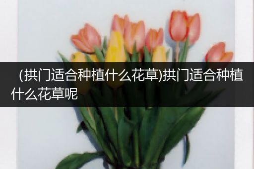 （拱门适合种植什么花草)拱门适合种植什么花草呢