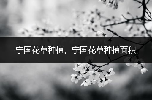 宁国花草种植，宁国花草种植面积