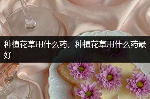 种植花草用什么药，种植花草用什么药最好