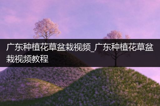 广东种植花草盆栽视频_广东种植花草盆栽视频教程