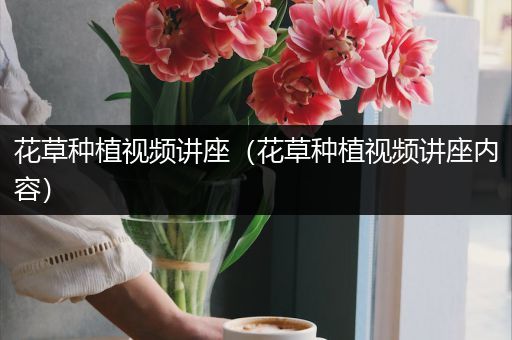 花草种植视频讲座（花草种植视频讲座内容）
