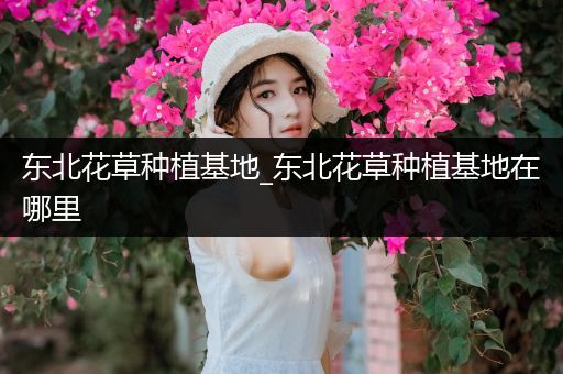 东北花草种植基地_东北花草种植基地在哪里