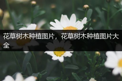 花草树木种植图片，花草树木种植图片大全