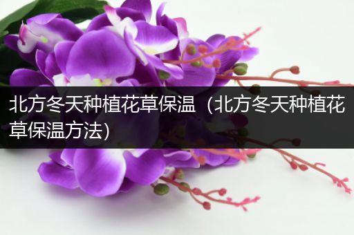 北方冬天种植花草保温（北方冬天种植花草保温方法）