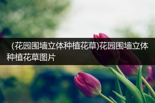 （花园围墙立体种植花草)花园围墙立体种植花草图片