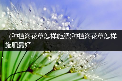 （种植海花草怎样施肥)种植海花草怎样施肥最好
